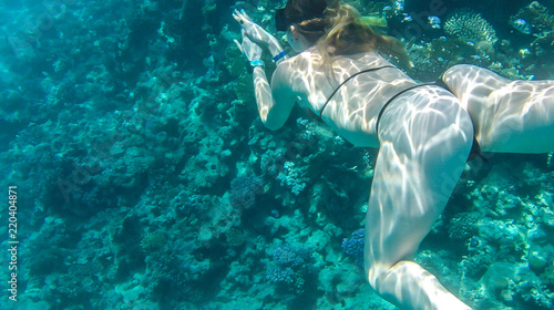 Girl swims near coral in red sea.