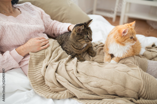 pets, hygge and people concept - close up of female owner with red and tabby cat in bed