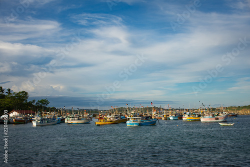 Fishery Harbour © dinukada