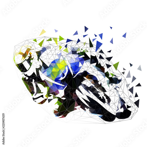 Road motorbike racing, polygonal vector illustration. Low poly motorcycle, front view