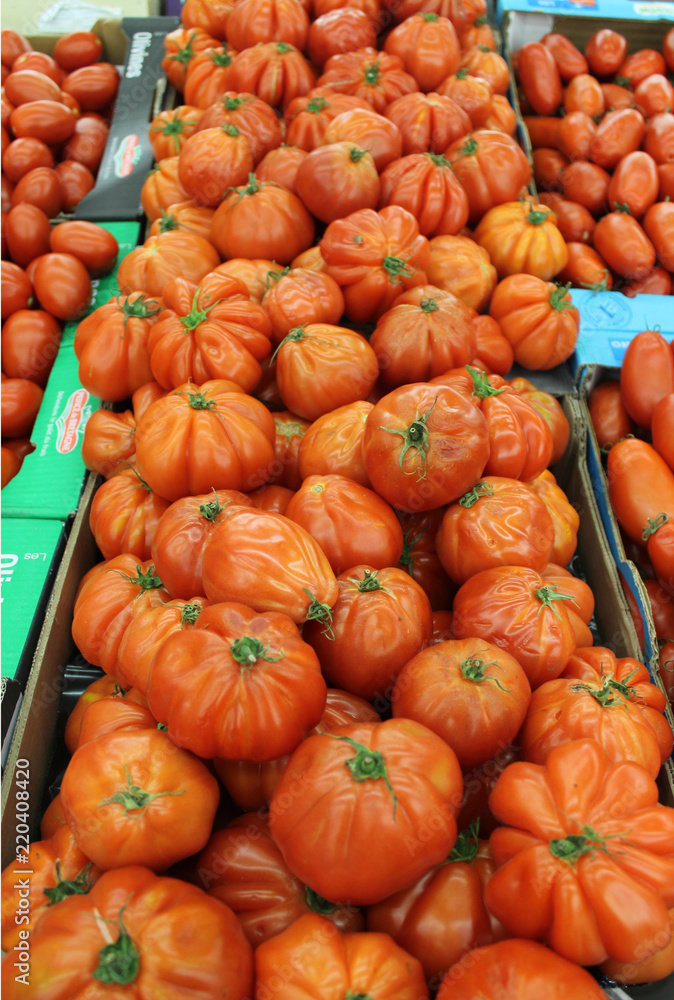 Obraz premium tomates côtelées