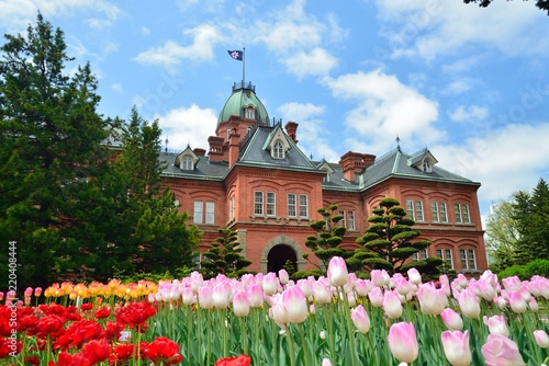 チューリップと赤レンガ