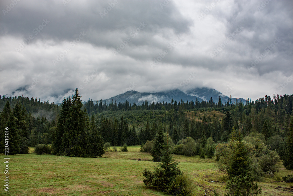 Foggy and cloudy woods and mountain of Orava in Slovak republic