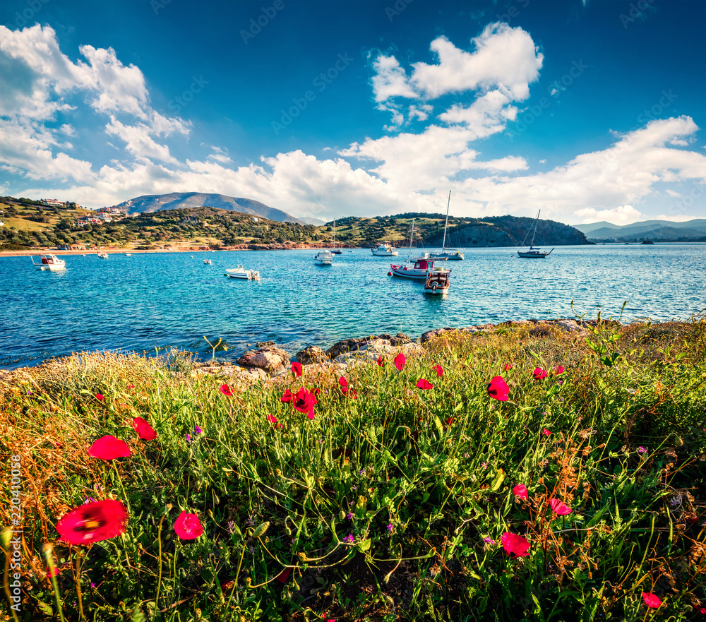 Splendid spring view of the Nuevo Loca Beach. Sunny morning seascape of the Aegean sea, Palaia Fokaia location, Greece, Europe. Traveling concept background. Artistic style post processed photo.