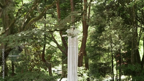 Vintage wedding dress hanging in the forest. photo