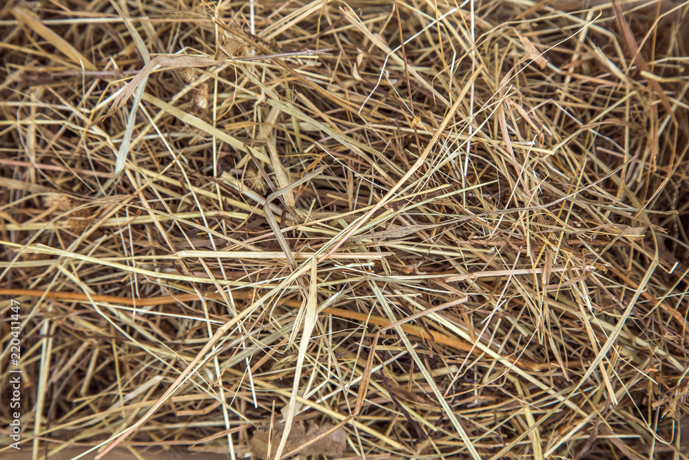 Background. The natural texture of dry straw
