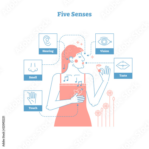 Five human senses, conceptual artistic outline style graphic design vector illustration poster with female and 5 senses icons - touch, smell, hearing, vision and taste.