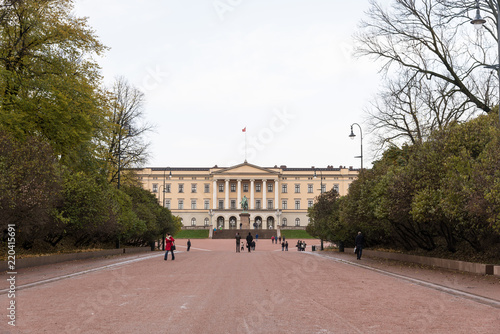 Oslo royal palace, view from parkway alley boulevard avenue with people walking around and with autumn leaves, norway, europe