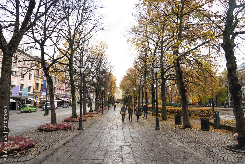 Oslo parkway alley boulevard avenue with people walking around and with autumn leaves, norway, europe