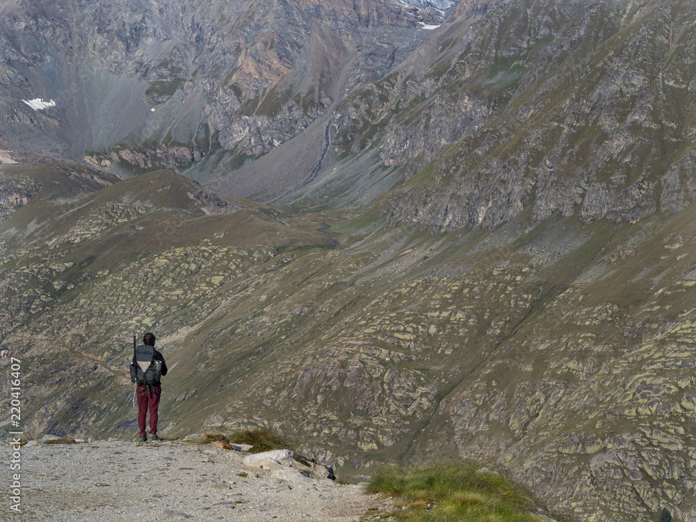 Fototapeta premium Trekking nelle alpi