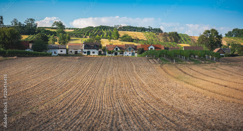 Weinbaugebiet in Österreich