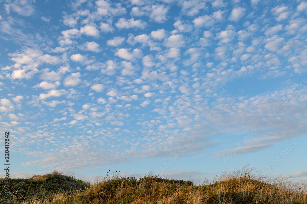 Looking up at clouds over marram grass covered sand dunes, in Formby, near Liverpool Looking up at clouds over marram grass covered sand dunes, in Formby, near Liverpool