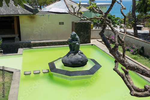 monkey pool in uluwatu temple green water in bali indonesia photo