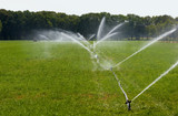 irrigating grassland