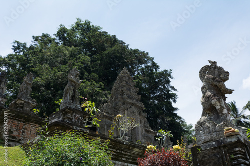 temple pura kehan in bali indonesia big stone figures and a big tree photo