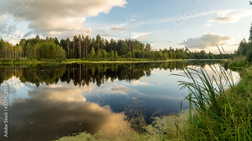 Панорама летнего вечернего пейзажа на Уральском озере с соснами на берегу, Россия, август