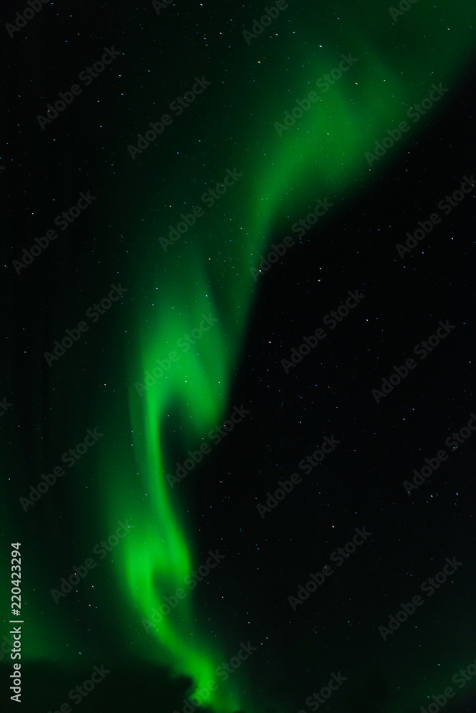 norwegian aurora borealis with mountains and water, view from hurtigruten ship boat, norway, europe, green northern lights
