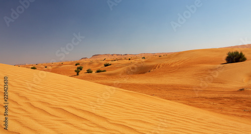 Desert in United Arab Emirates.