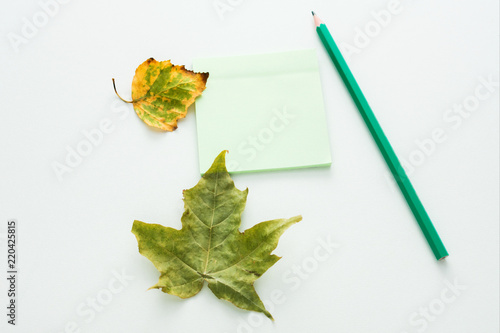 yellow foliage scattered on the table,white pensil, withered leaf, green notebook for records, autumn background with copy space, for advertising, top view