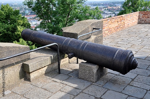 cannon and castle