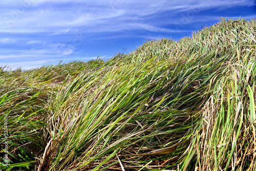 Meadow hill on top of beautiful mountain