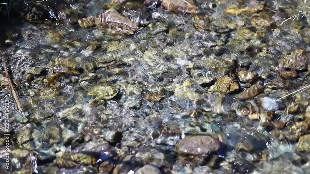 Calm, clear river stream with pebbles on a sunny day part 1. Calm, clear river stream with pebbles on a sunny day part 1.