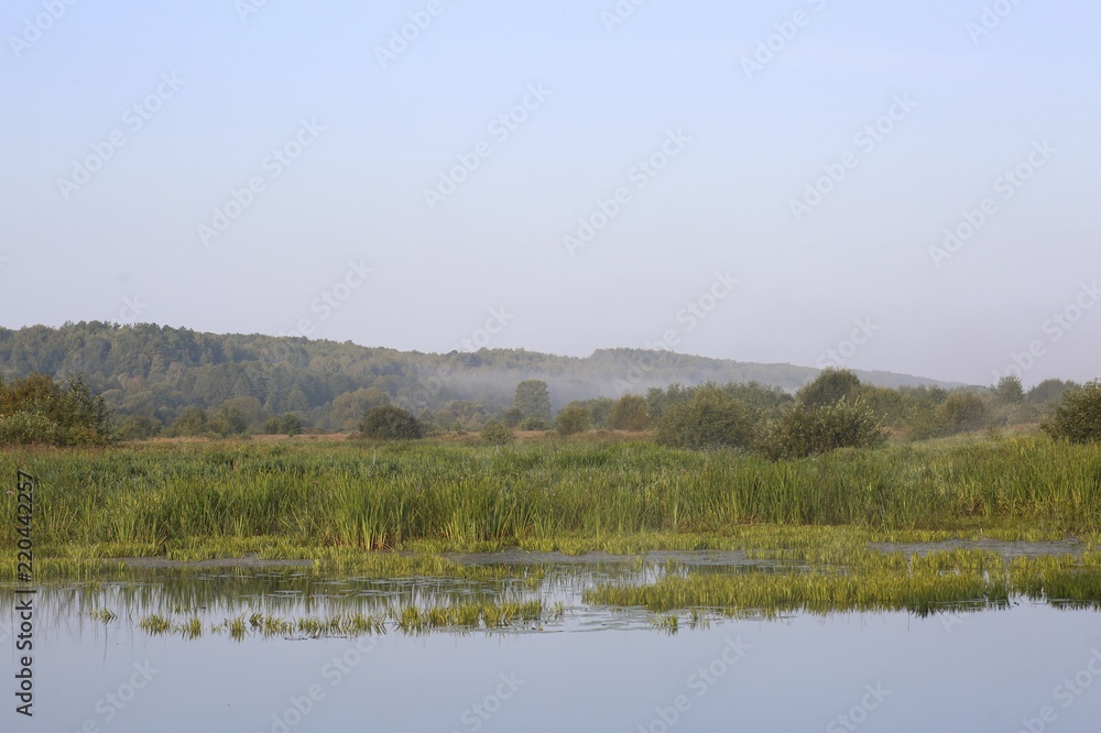 Morning by the lake.
