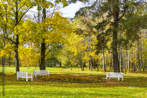 benches and flowerbed in autumn park © Irina