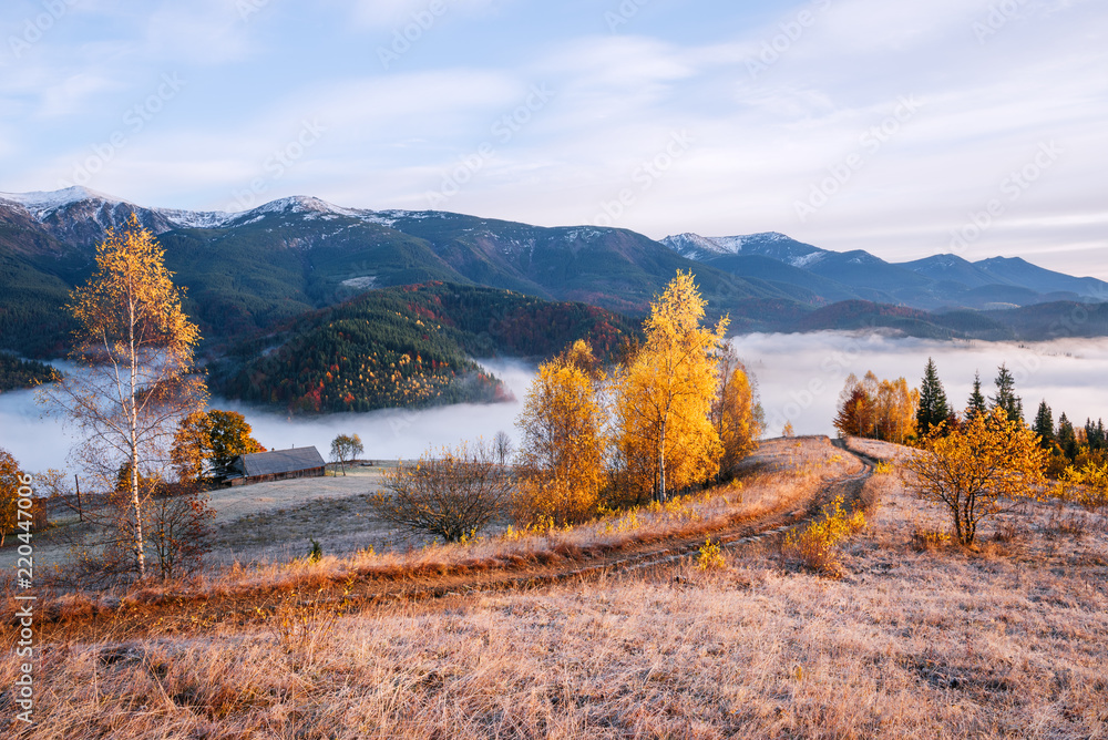 Autumn landscape in the mountains