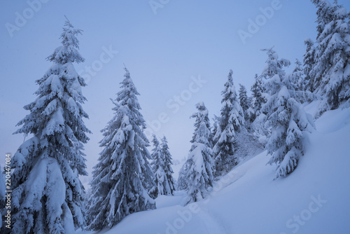 Winter landscape with footpath in the snow © Oleksandr Kotenko