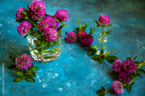 Pink Clover flowers on table with blue background