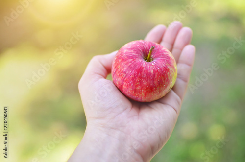 Apple on palm