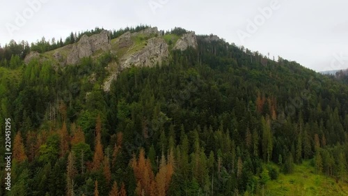 Aerial: drone footage on the peak of the Nosal mountain, surrounded by green trees and greenery photo