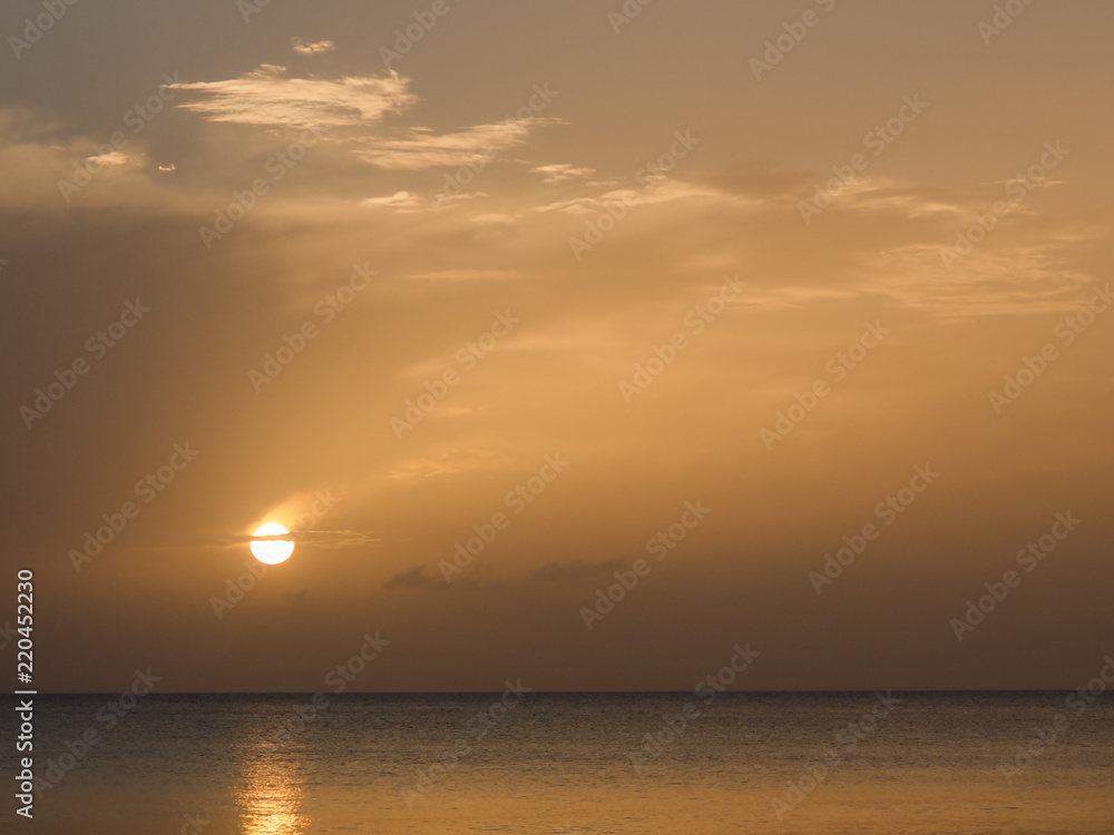 Fototapeta premium OLYMPUS DIGITAL CAMERA