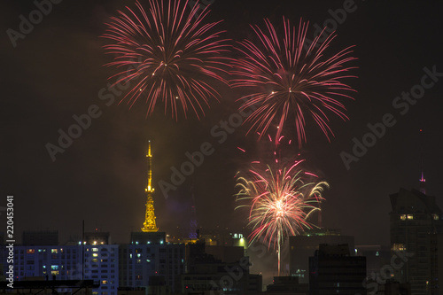 Sao Paulo, Brazil January 01, 2013. Burning of fireworks of Paulista Avenue during the Reveillont 2013, seen from the neighborhood of the Aclimacao.