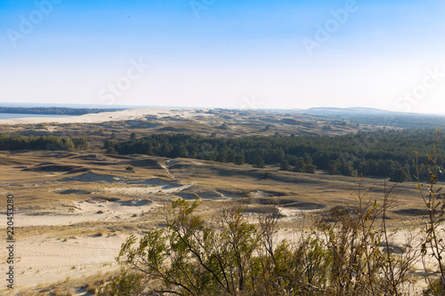 Nature of Latvia. The dune covered with grass on the seashore of the Gulf of Riga.