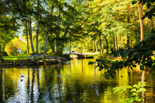 White bridge over a lake in a mysterious autumn park