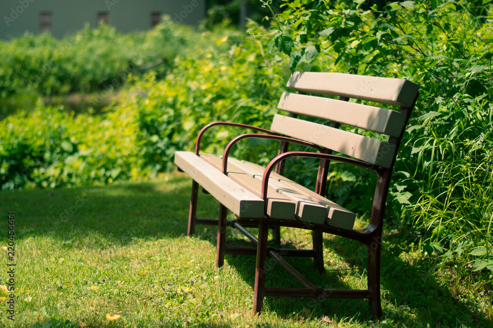 Sunset Bench