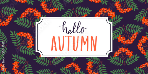 Autumn rowan template for greeting card, web banner etc. Rowan branch pattern frame on dark blue background. Hello autumn lettering. Vector illustration