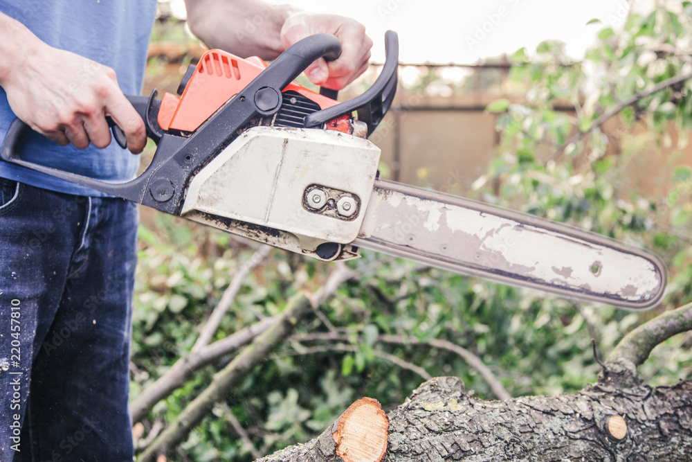 A man with a chainsaw sawing a tree fallen after a hurricane A man with a chainsaw sawing a tree fallen after a hurricane