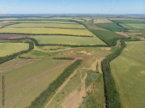 Fototapeta Naklejka Na Ścianę i Meble -  Green and yellow fields before harvesting. Top aerial view made by drone