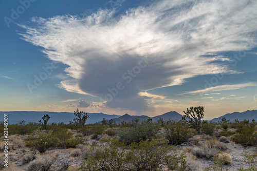 Desert landscape with dramatic clouds and evening light © lemanieh