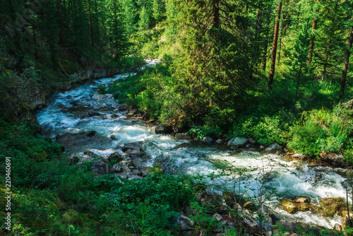 Fast serpentine stream in wild mountain creek in valley. Stones and boulders in water. Atmospheric green landscape with brook  rich vegetation  forest. Majestic nature.