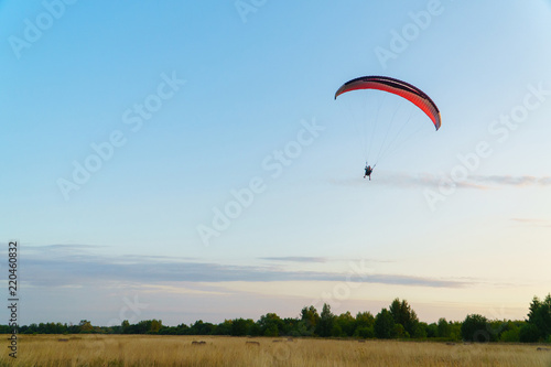 Paraplane on the blue sky background, leisure activity.