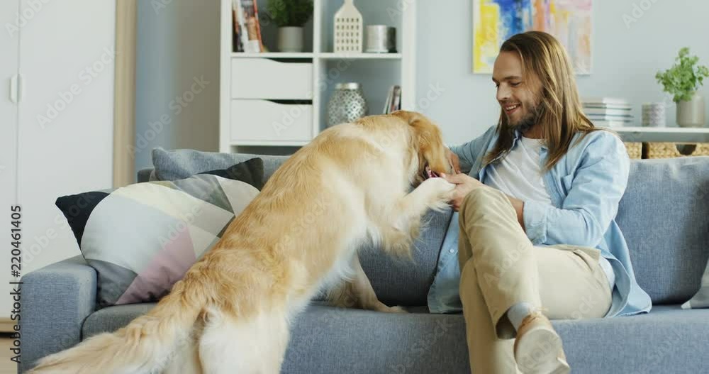 Young Caucasian man sitting on the couch at home and spending time with his labrador dog. Inside. Young Caucasian man sitting on the couch at home and spending time with his labrador dog. Inside.