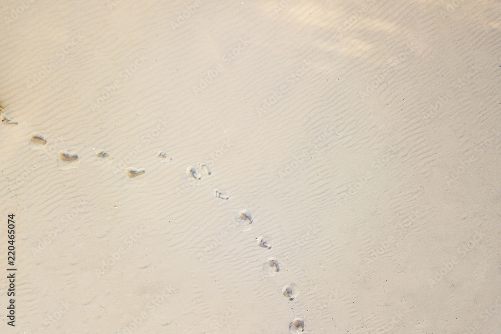 top aerial view of footsteps footprints on sand dunes in the desert top aerial view of footsteps footprints on sand dunes in the desert