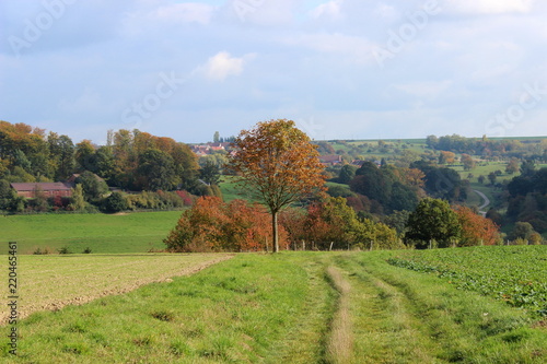 Herbstlandschaft, Felder,Wiese