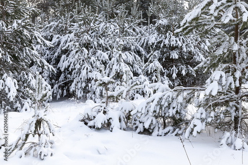 Snow drifts in winter