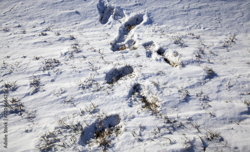 Snow drifts in winter Snow drifts in winter