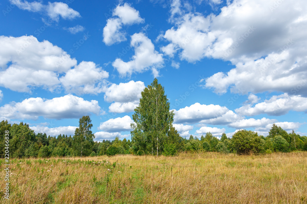 Landscape with beautiful clouds, trees, meadow Landscape with beautiful clouds, trees, meadow